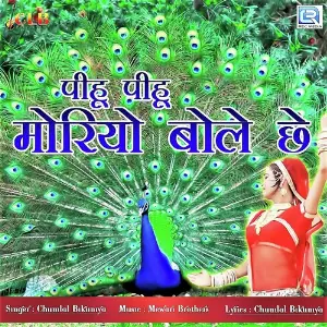 Pihu Pihu Moriyo Bole Chhe image