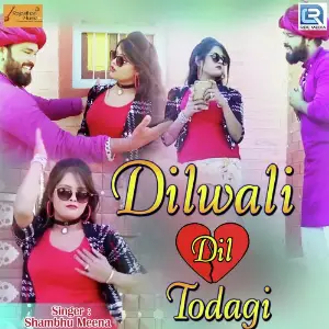 Dilwali Dil Todagi image