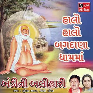 Halo Halo Bagdana Dham Ma image