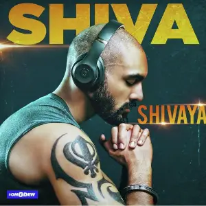 Om Namah Shivaya image