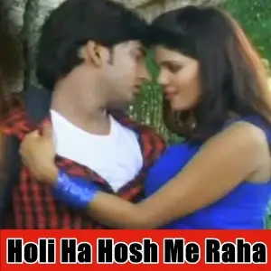 Holi Ha Hosh Me Raha image