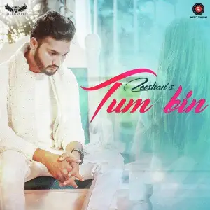 Tum Bin image