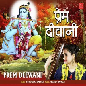Prem Deewani image