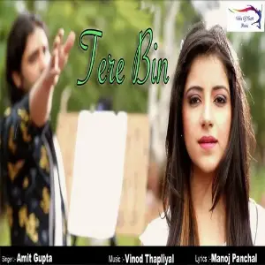 Tere Bin image
