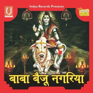 Baba Vaiju Nagariya image