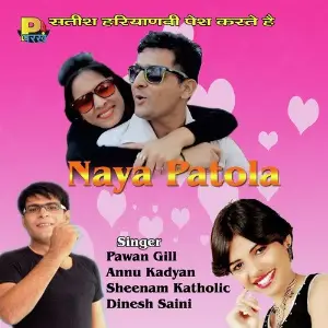 Naya Patola image