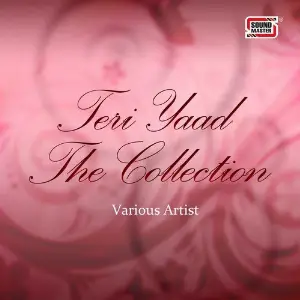 Teri Yaad - The Collection image