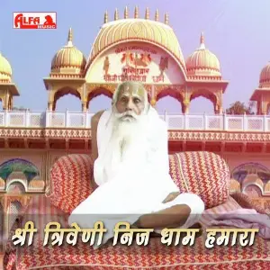 Shree Triveni Niz Dham Hamara image