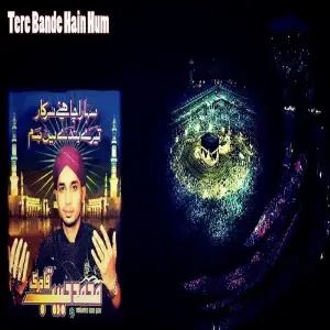 Tere Bande Hain Hum image
