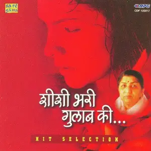 Sheesha Bhari Gulab Ki Various Artists