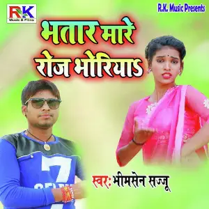 Bhatar Mare Roj Bhoriya image