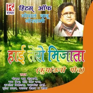 Hai Tero Mijata - Hits of Gopal Babu Goswami Various Artists