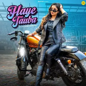Haye Tauba image