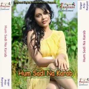 Hum Sadi Na Karab image