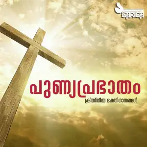 Punyaprabhatham image