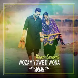 Wozam Yowe Diwona - Single image