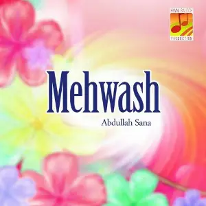 Mehwash image