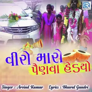 Veero Maro Painva Hedyo image