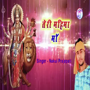 Teri Mahima Maa image