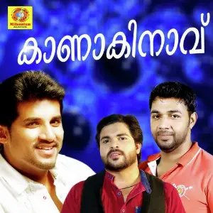 Kanakinavu image