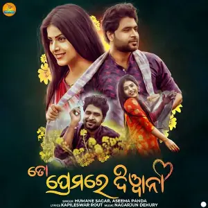 Tora Premare Diwana image