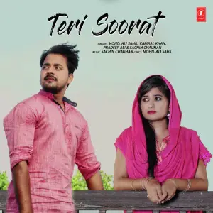 Teri Soorat image