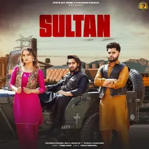 Sultan (feat. Vaishali Chaudhary) image