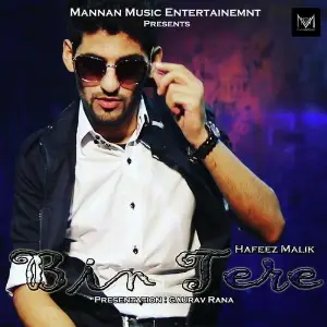 Bin Tere image