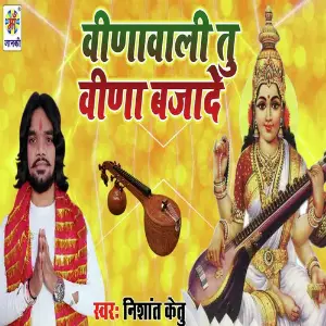 Vinawali Tu Vina Bajade image