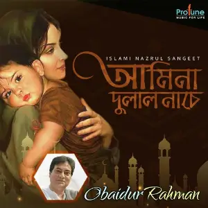 Amina Dulal Nacche image