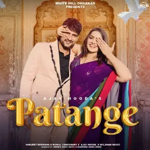 Patange image