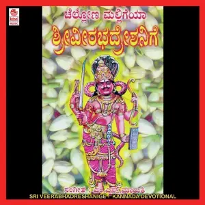 Sri Veerabhadreshanige image
