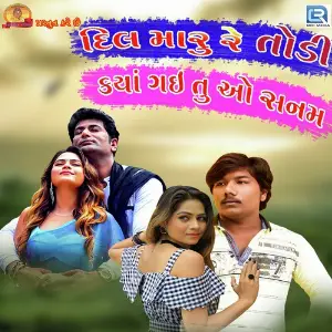 Dil Maru Re Todi Kya Gai Tu O Sanam image