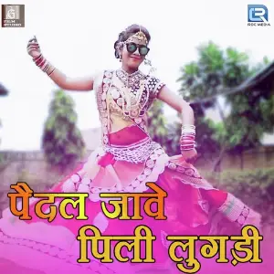 Paidal Jave Pili Lugadi image