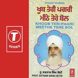 Khoob Teri Pagri Meethe Tere Bol 