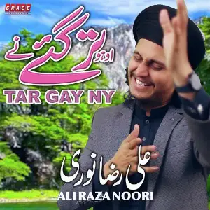 Tar Gay Ny image