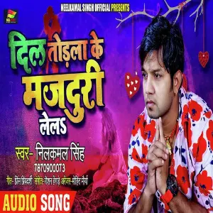 Dil Todala Ke Majduri Lela image