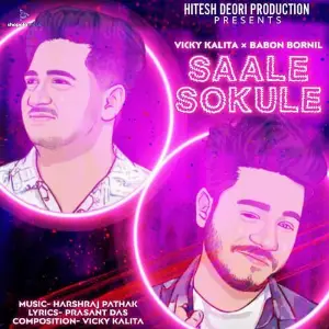 Saale Sokule image