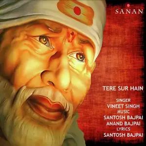 Tere Sur Hain image