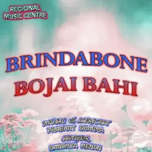 Brindabone Bojai Bahi image