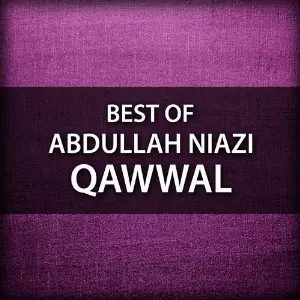 Best of Abdullah Niazi Qawwal image