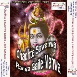 Chadhte Sawanwa Ranga Gaile Manwa image