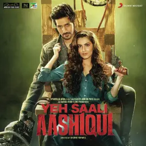 Yeh Saali Aashiqui image