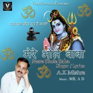 Mere Bhole Baba image