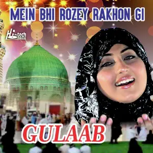 Mein Bhi Rozey Rakhon Gi image