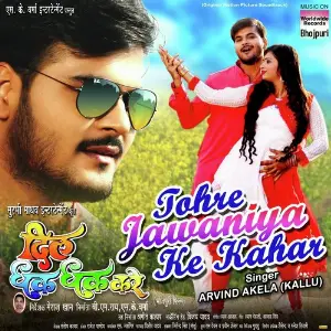 Tohre Jawaniya Ke Kahar (From Dil Dhak Dhak Kara) image
