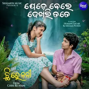 Jedebele Dekhli Tate(From Chhi Re Nani) image