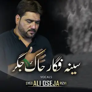 Seena Fagar Chaak Jigar image