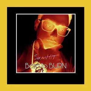 Born to Burn image