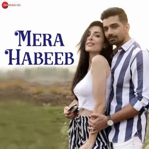 Mera Habeeb image